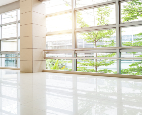 Empty corridor in modern office building with green tree outside the window