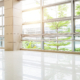 Empty corridor in modern office building with green tree outside the window